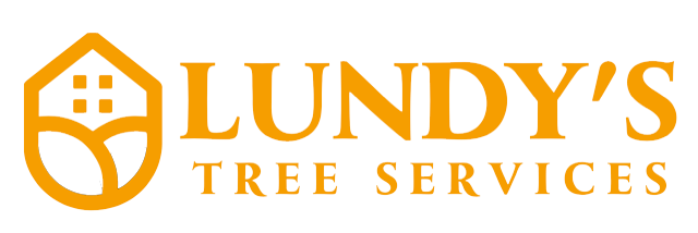 go to Lundy's Tree Service home page