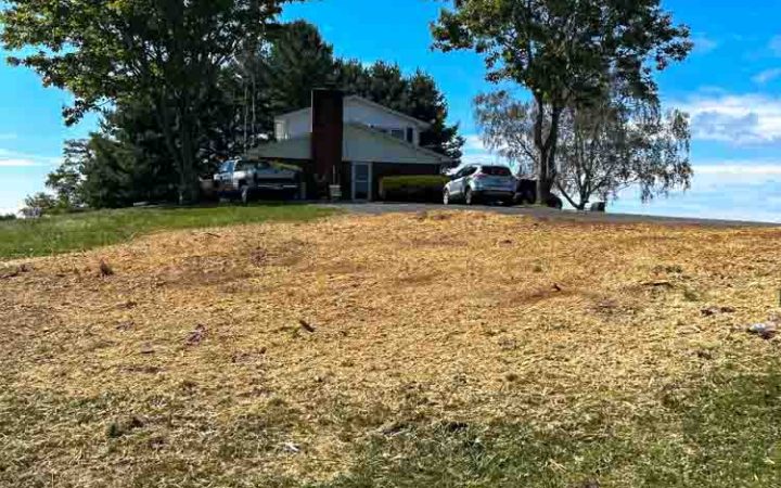View of a residential property with a clear hill, showcasing the area after tree removal activities.
