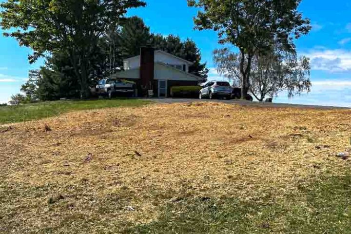 View of a residential property with a clear hill, showcasing the area after tree removal activities.