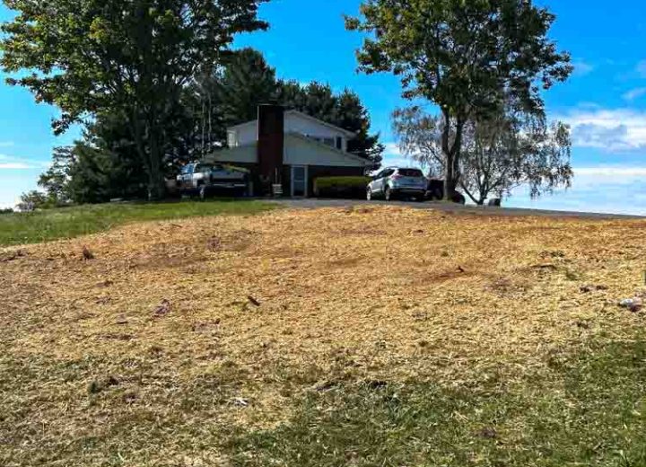 View of a residential property with a clear hill, showcasing the area after tree removal activities.