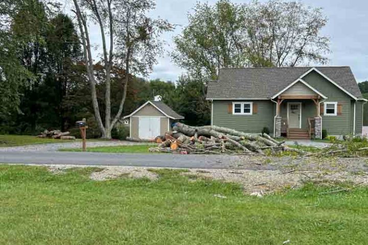 A residential street scene with a pile of freshly cut logs and branches in front of a house.