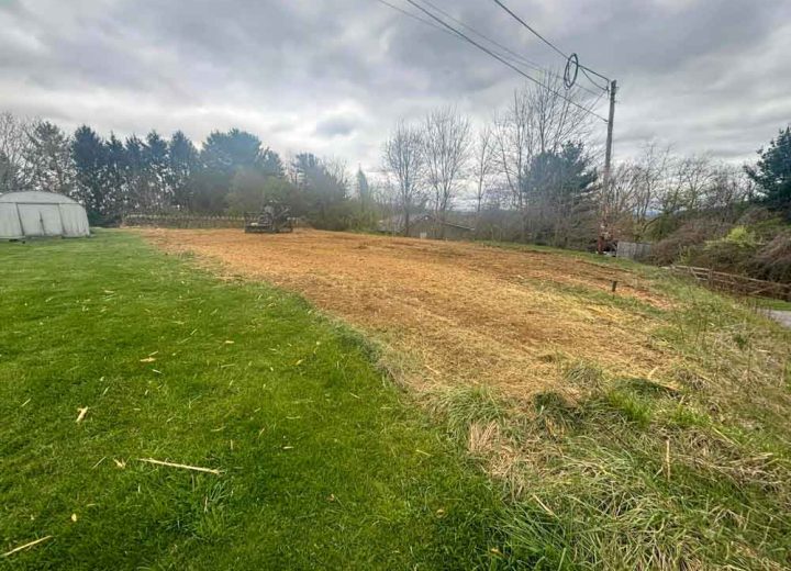A large, open field with wood chips and debris after extensive tree clearing activities.