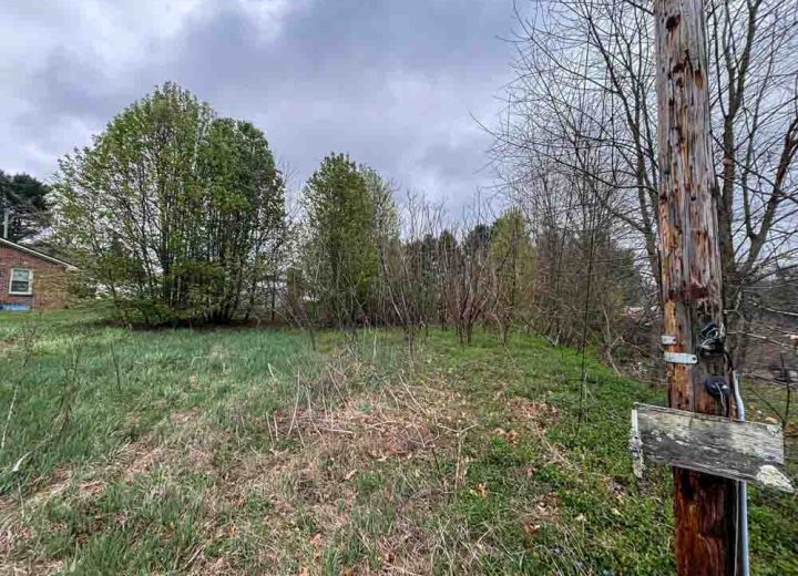 A site showing freshly removed trees and debris near a residential building, highlighting post-removal cleanup.