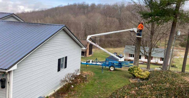 High-angle view of a tree trimming operation using an aerial lift, showcasing the equipment and residential setting.