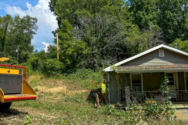 A tree service professional in bright clothing clearing up a heavily wooded lot after a storm, with a wood chipper and tools in use.