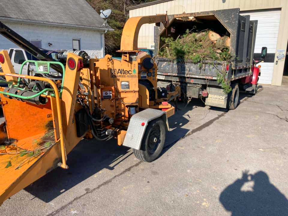 Workers load a mix of tree branches and logs into a large truck equipped with a wood chipper, ready for disposal.
