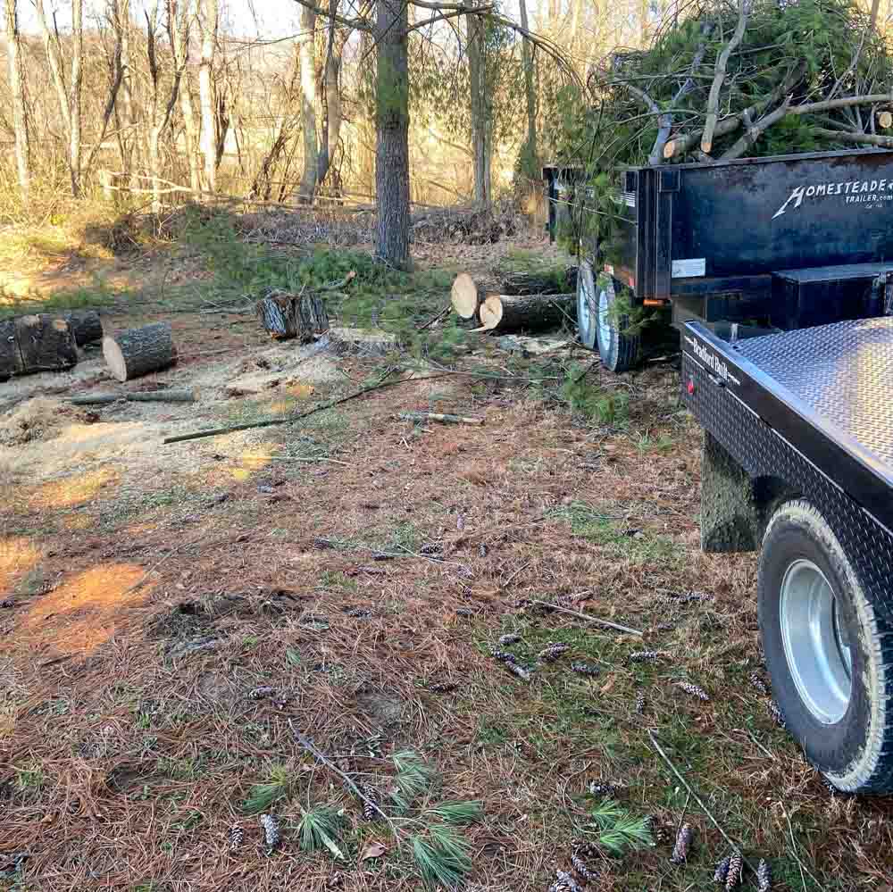 A work trailer loaded with cut logs and branches in a wooded area, indicating ongoing tree removal operations.
