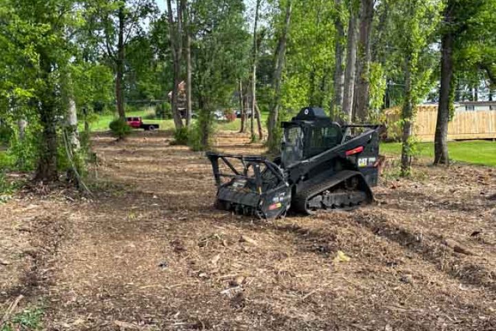 A skid steer operating in a wooded area, demonstrating land clearing and debris management services.