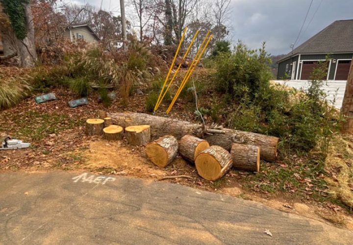 Stacked logs and debris near a residential property, showing the results of tree felling and log processing services.